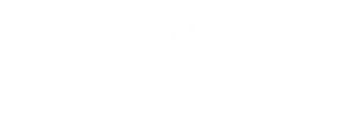 Cisco Partner